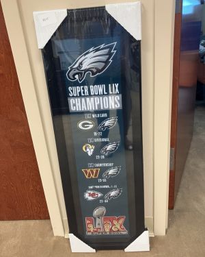 Eagles Super Bowl LIX Champion Felt Banner Framed